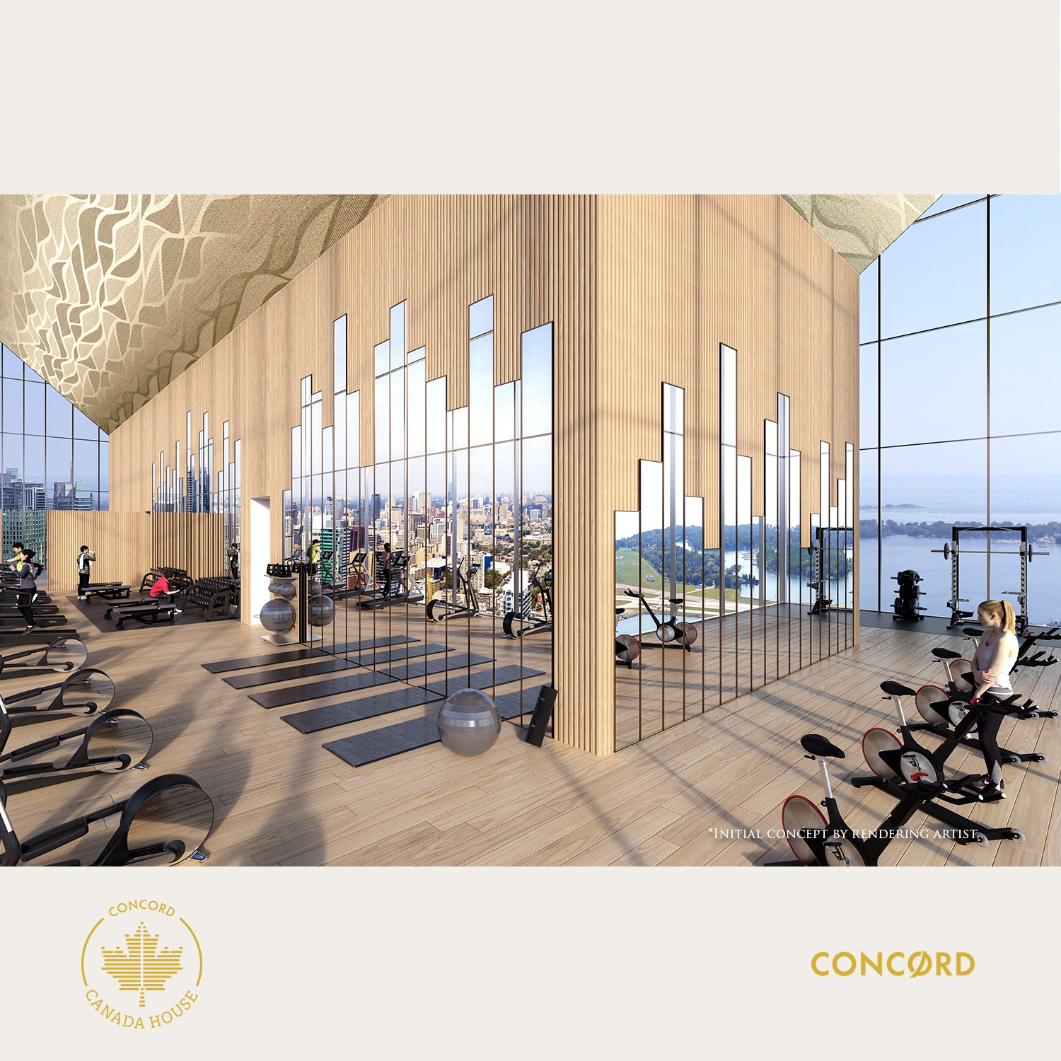 Sky Gym